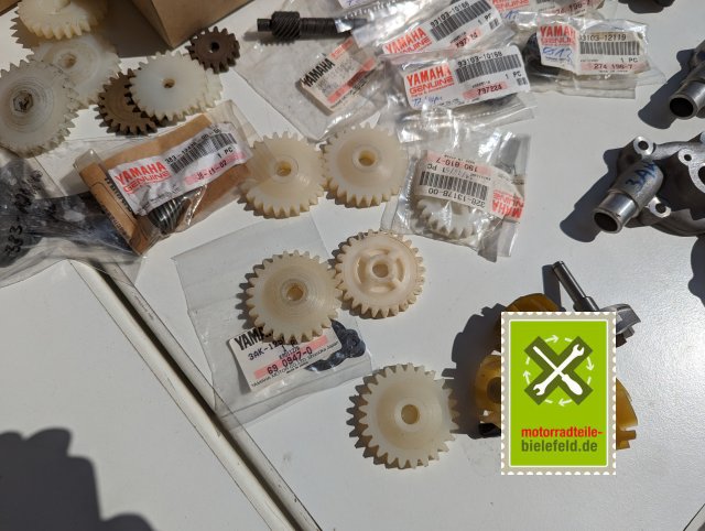 PXL_20240528_133822048